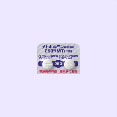 メトホルミン 3ヶ月分 【250mg】